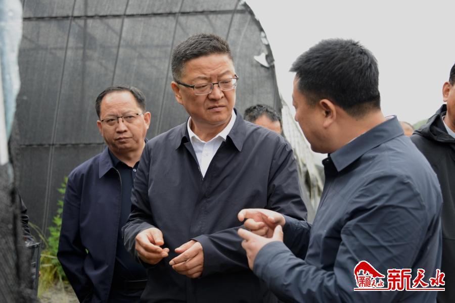 港澳免费资科大全